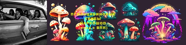 метадон Алексин