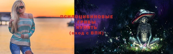 круглые Алзамай