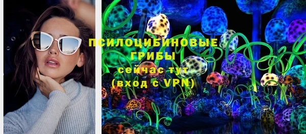 круглые Алзамай